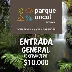 Ticket General (Extranjeros)